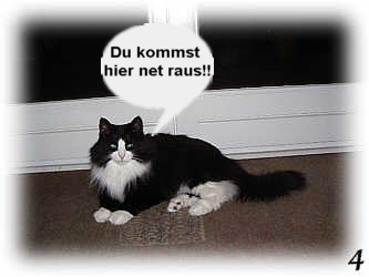 Post11_04