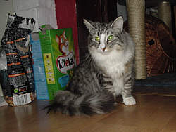 Lucy (Earl Grey's Orla)