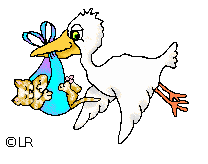 anluorstork1.gif