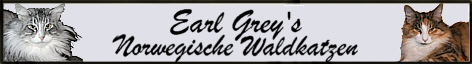 Earl Grey's Norwegische Walkatzen