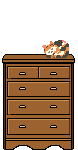 Katze in Kommode