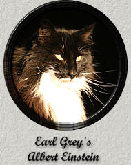 Earl Grey's Albert Einstein