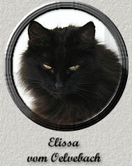 Elissa vom Oelvebach