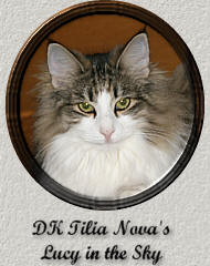 DK Tilia Nova's Lucy in the Sky