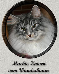 Mackie Kniven vom Wunderbaum