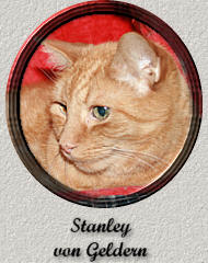Stanley  von Geldern