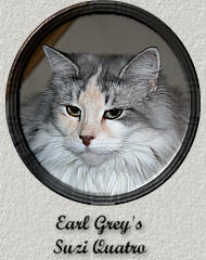 Earl Grey's Suzi Quatro