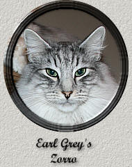 Earl Grey's Zorro