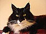 Eddie 5