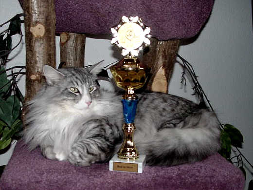 Fatehpur Show-Resultat 14
� Photo: B. Goritzka