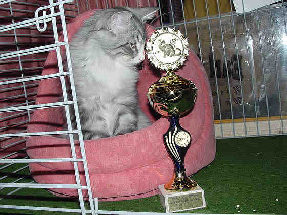 Fatehpur Show-Resultat 1
� Photo: B. Goritzka