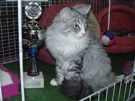 Fatehpur Show-Resultat 2
� Photo: B. Goritzka
