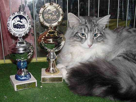 Fatehpur Show-Resultat 4
� Photo: B. Goritzka