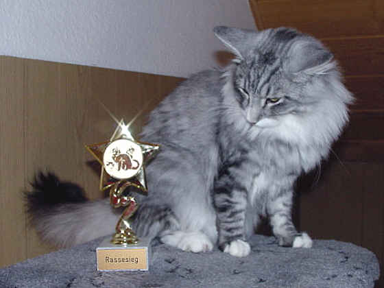Fatehpur Show-Resultat 5
� Photo: B. Goritzka