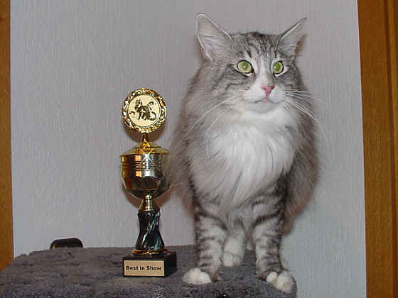 Fatehpur Show-Resultat 8
� Photo: B. Goritzka