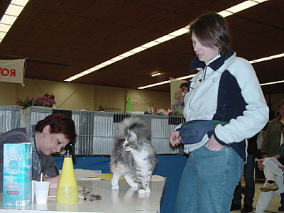 Urya Geena d'Hibernias Show-Resultat 3d
� Photo: B. Goritzka