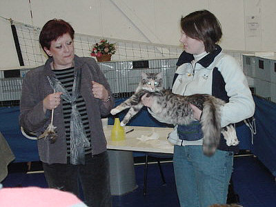 Urya Geena d'Hibernias Show-Resultat 3e
� Photo: B. Goritzka