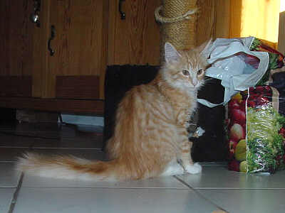 Xeno und die Futterlieferung 2
� Photo: B. Goritzka