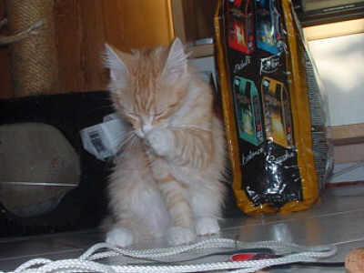 Xeno und die Futterlieferung 7
� Photo: B. Goritzka