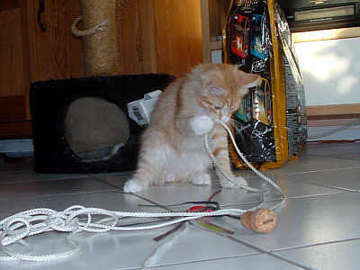Xeno und die Futterlieferung 8
� Photo: B. Goritzka