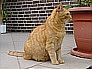 Stanley 4