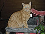 Stanley 7