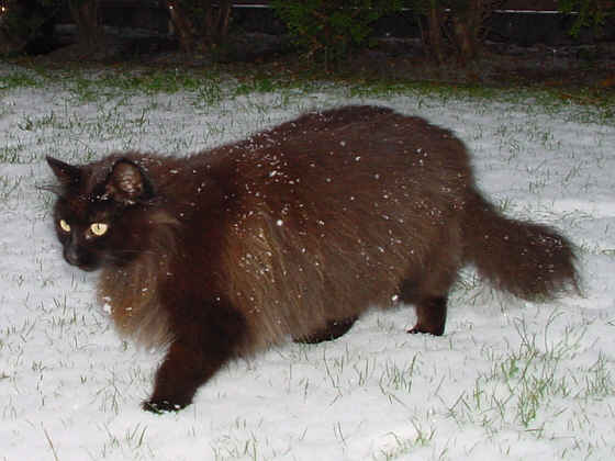 Elissa
� Photo: B. Goritzka