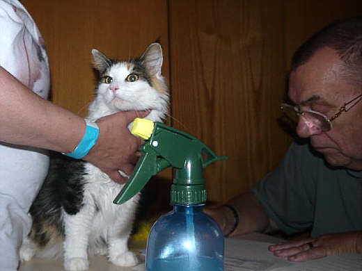 Agga Show-Resultate 4
� Photo: B. Goritzka