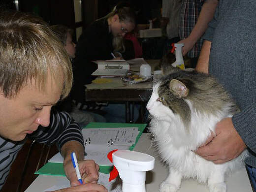 Anton Show-Resultate 10
� Photo: B. Goritzka