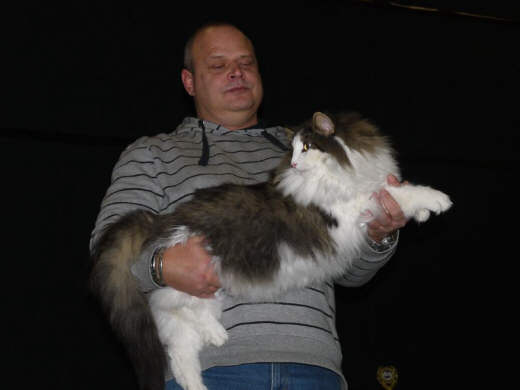 Anton Show-Resultate 11
� Photo: B. Goritzka