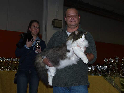 Anton Show-Resultate 12
� Photo: B. Goritzka