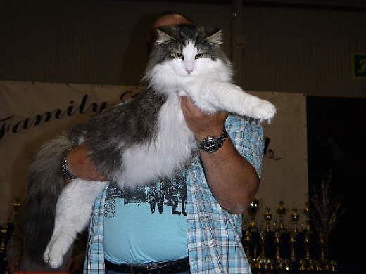 Anton Show-Resultate 6
� Photo: B. Goritzka