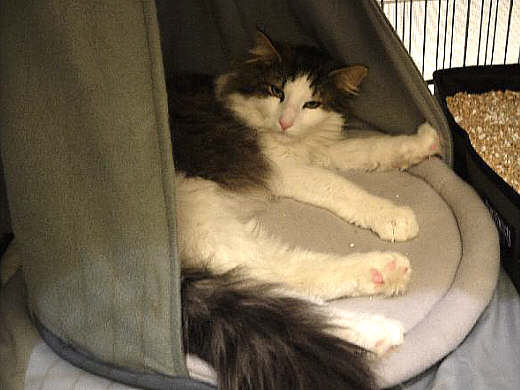 Anton Show-Resultate 7
� Photo: B. Goritzka