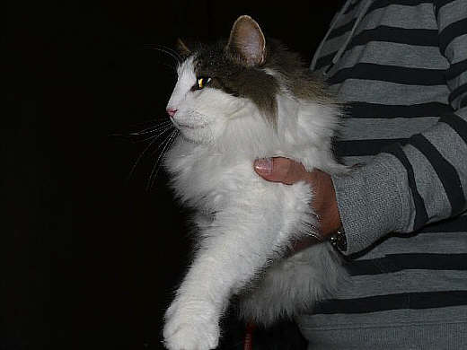 Anton Show-Resultate 9
� Photo: B. Goritzka