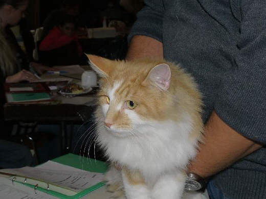 Arne Show-Resultate 10
� Photo: a. Degener