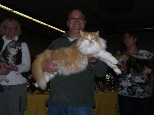 Arne Show-Resultate 12
� Photo: a. Degener