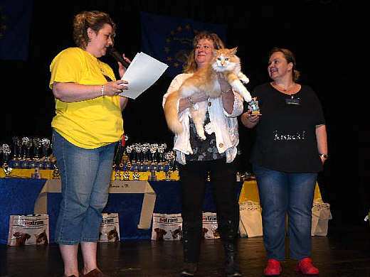 Arne Show-Resultate 8
� Photo: a. Degener