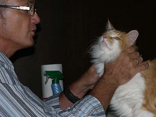 Arne Show-Resultate 9
� Photo: a. Degener