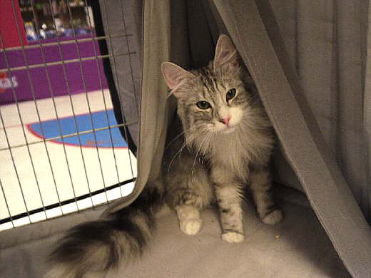 Bj&ouml;rn Show-Resultate 3
� Photo: B. Goritzka