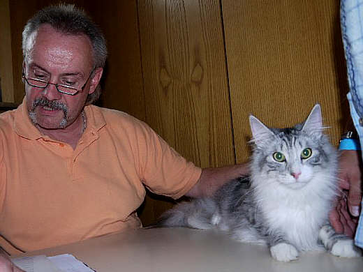 Bj&ouml;rn Show-Resultate 4
� Photo: B. Goritzka