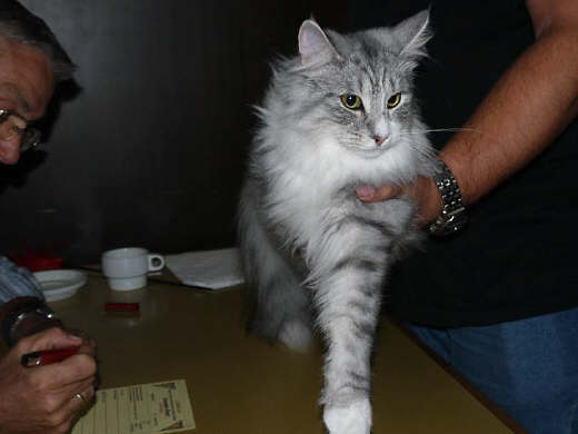 Bj&ouml;rn Show-Resultate 5
� Photo: B. Goritzka