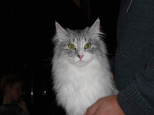 Bj&ouml;rn Show-Resultate 6
� Photo: B. Goritzka