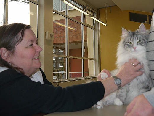 Bj&ouml;rn Show-Resultate 7
� Photo: B. Goritzka