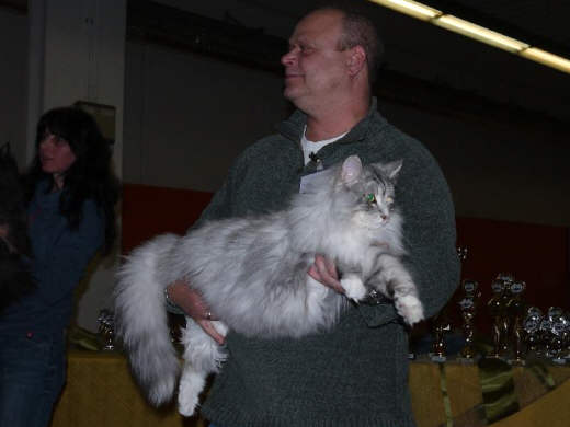 Björn Show-Resultate 8
 Photo: B. Goritzka