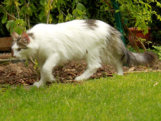 Bonita Show-Resultate 3
� Photo: B. Goritzka