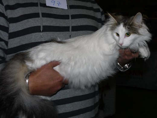 Bonita Show-Resultate 4
� Photo: B. Goritzka