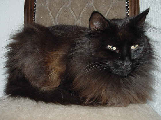 Elissa
� Photo: B. Goritzka