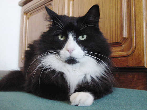 Emanuel Swedenborg
� Photo: B. Goritzka