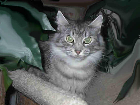 Earl Grey's Hilary
� Photo: D. Barking