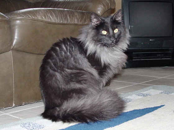 Earl Grey's Immanuel Kant
� Photo: B. Goritzka